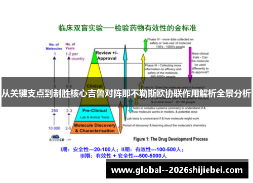 从关键支点到制胜核心吉鲁对阵那不勒斯欧协联作用解析全景分析 从关键支点到制胜核心吉鲁对阵那不勒斯欧协联作用解析全景分析