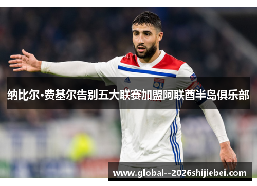 纳比尔·费基尔告别五大联赛加盟阿联酋半岛俱乐部 纳比尔·费基尔告别五大联赛加盟阿联酋半岛俱乐部