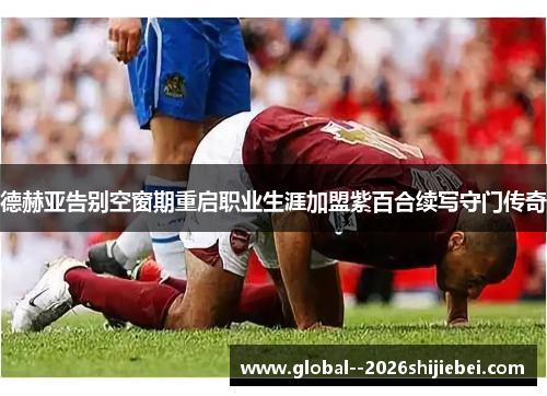 德赫亚告别空窗期重启职业生涯加盟紫百合续写守门传奇