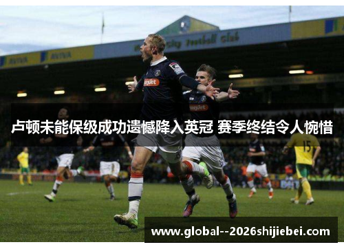 卢顿未能保级成功遗憾降入英冠 赛季终结令人惋惜 卢顿未能保级成功遗憾降入英冠 赛季终结令人惋惜